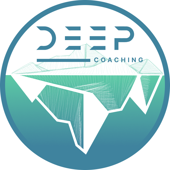 Team Coaching –