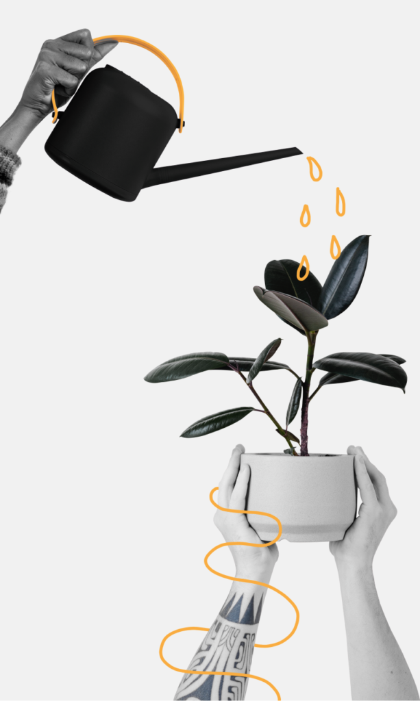 deep coaching Konzept induktive Methode