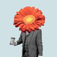 Teamcoaching für Unternehmen Rezension Deep Coaching Team Coaching Supervision 3