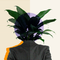 Teamcoaching für Unternehmen Rezension Deep Coaching Team Coaching Supervision