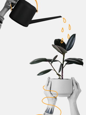 deep coaching Konzept induktive Methode